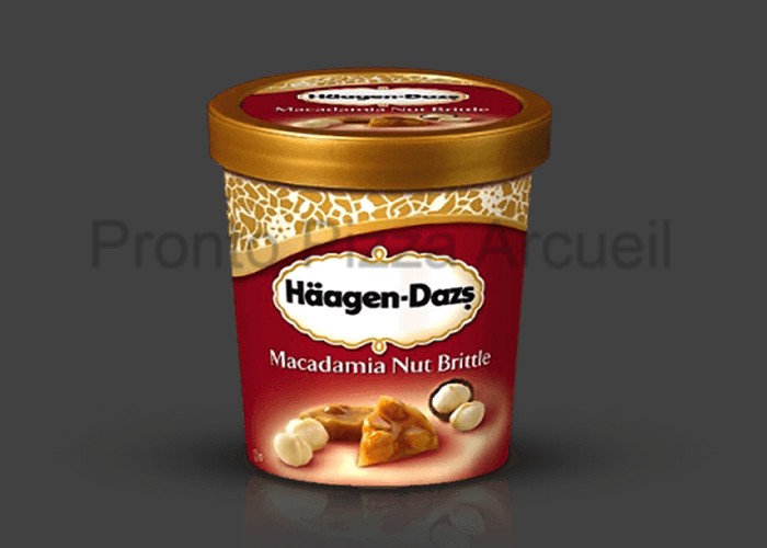 Crme glace Macadamia Hagen-Dazs 500ml